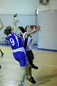 Basket 252042